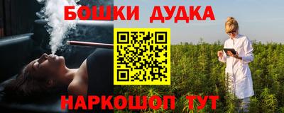шишки Обь