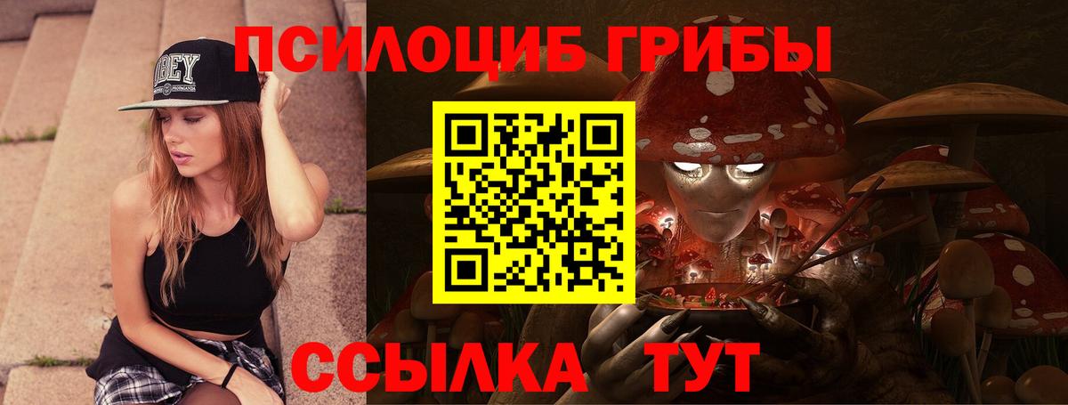 Тамбов  Псилоцибиновые грибы Cubensis  Вход с VPN 